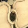 King Size French Provincial Headboard.   Priced 150.00.
